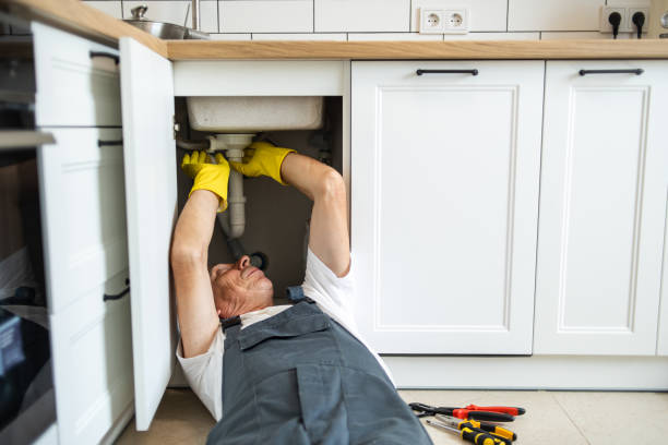 Best Plumbing Inspections & Maintenance in Woodson Terrace, MO